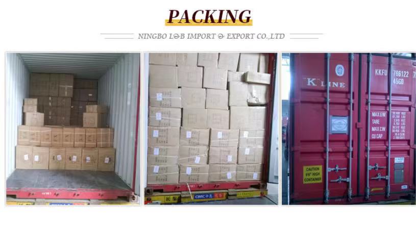 Clothing Accessories Gold and Silver Metallic Border Lace Trim Multicolor Sequin Gold Thread Metallic Lace Trim